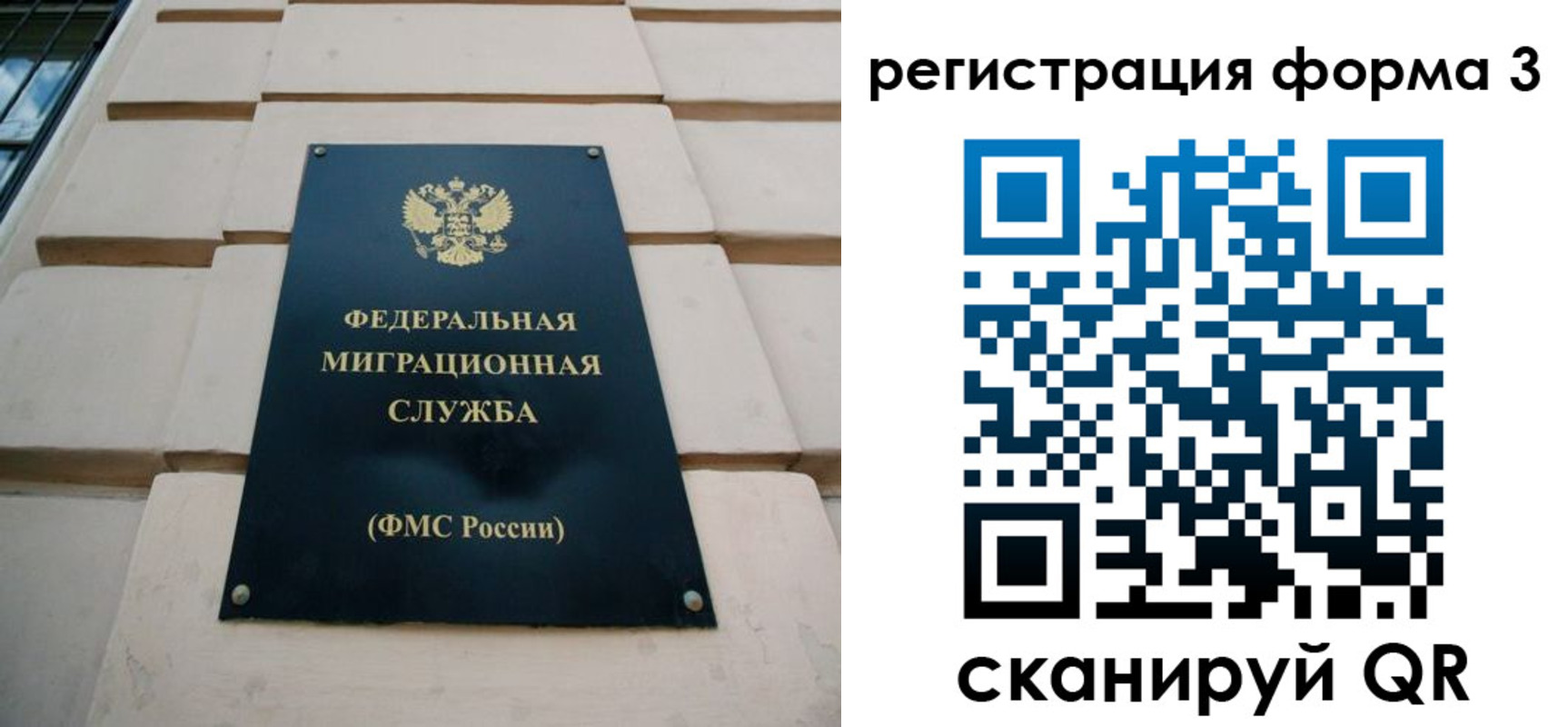 временная регистрация поиск в Мурманске